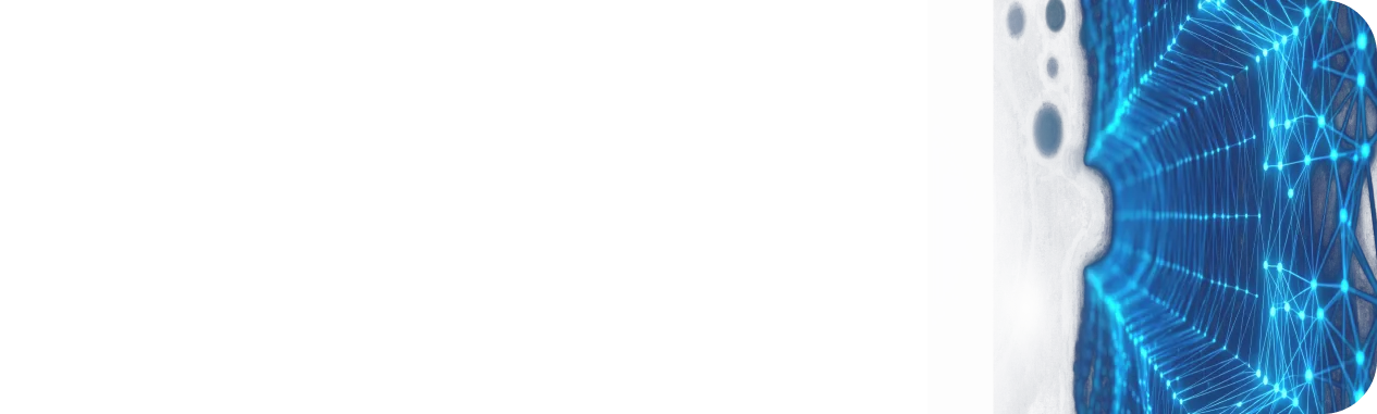 Strutturare